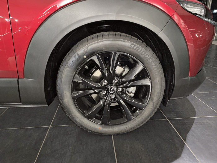 Mazda CX-30 2.0 e-SKYACTIV-X M-Hybrid 186ch Homura BVA 2025