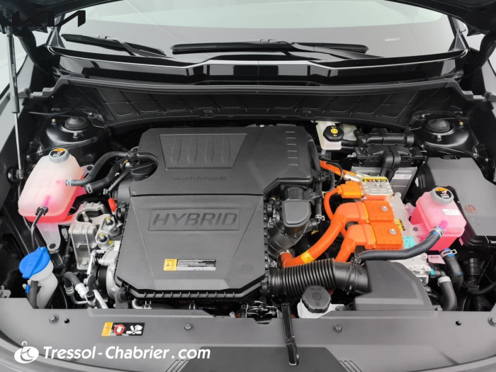 Kia Niro 1.6 GDi 129 ch HEV DCT6 Active Business