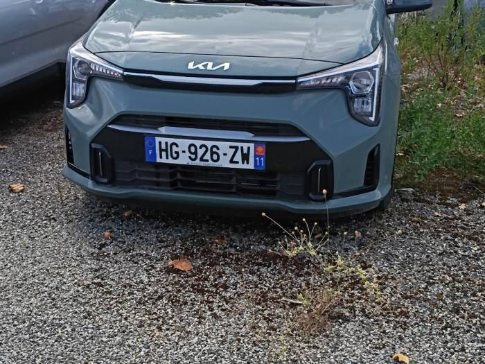 Kia Picanto 1.0 GDi 68 ch BVM5 Active Business