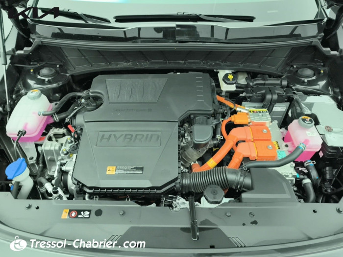 Kia Niro 1.6 GDi 129 ch HEV DCT6 Active Business