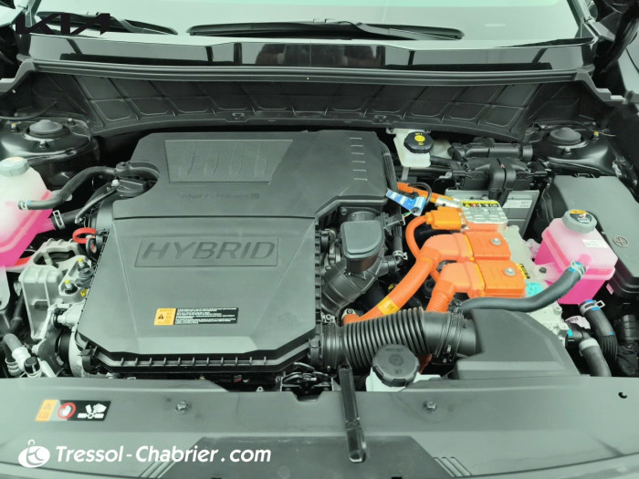 Kia Niro 1.6 GDi 141 ch HEV DCT6 Active Business