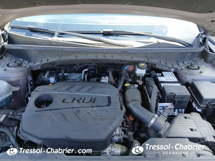 Hyundai Tucson 1.6 CRDi 136 Hybrid 48V DCT-7 Executive