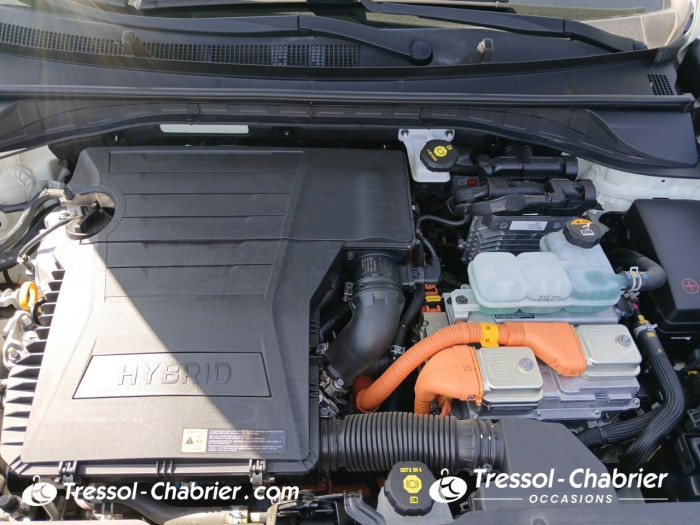 Kia NIRO BUSINESS 1.6 GDi Hybride 141 ch DCT6 Active Business