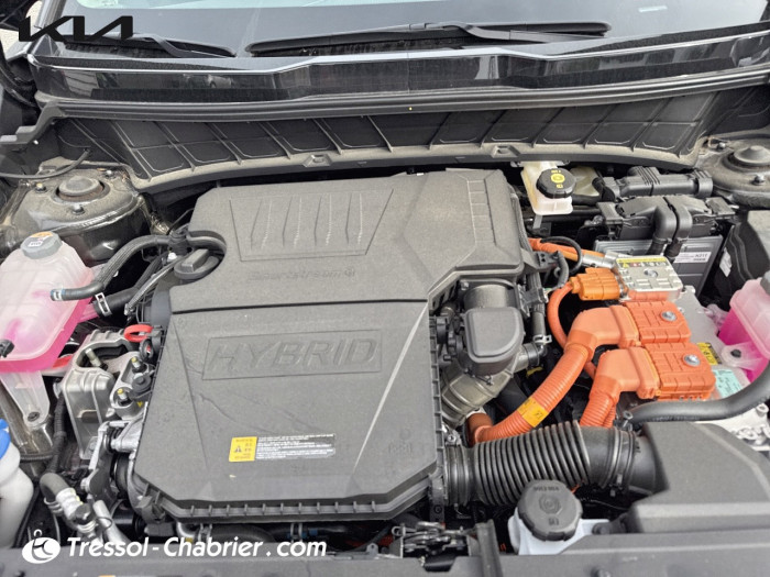 Kia Niro 1.6 GDi 129 ch HEV DCT6 Active Business