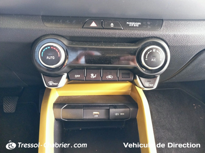 Kia Stonic 1.0 T-GDi 100 ch BVM6 Collection