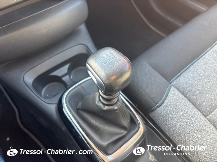 Citroën C4 CACTUS BUSINESS BlueHDi 100 S&S BVM6 Feel Business