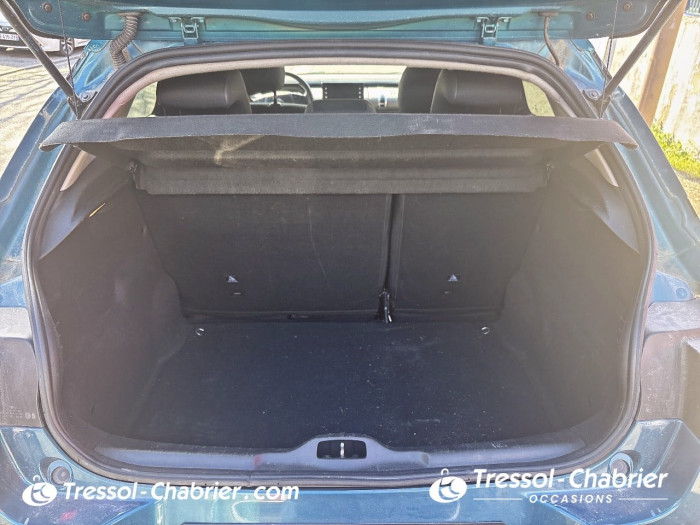 Citroën C4 CACTUS BUSINESS BlueHDi 100 S&S BVM6 Feel Business