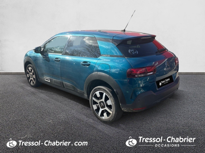 Citroën C4 CACTUS BUSINESS BlueHDi 100 S&S BVM6 Feel Business