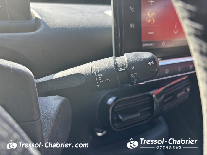 Citroën C4 CACTUS BUSINESS BlueHDi 100 S&S BVM6 Feel Business