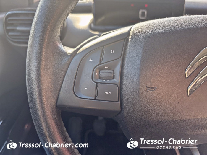 Citroën C4 CACTUS BUSINESS BlueHDi 100 S&S BVM6 Feel Business