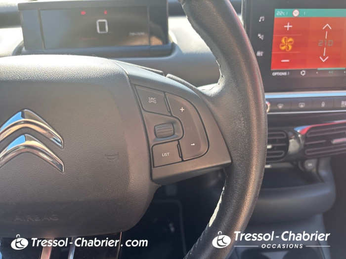 Citroën C4 CACTUS BUSINESS BlueHDi 100 S&S BVM6 Feel Business