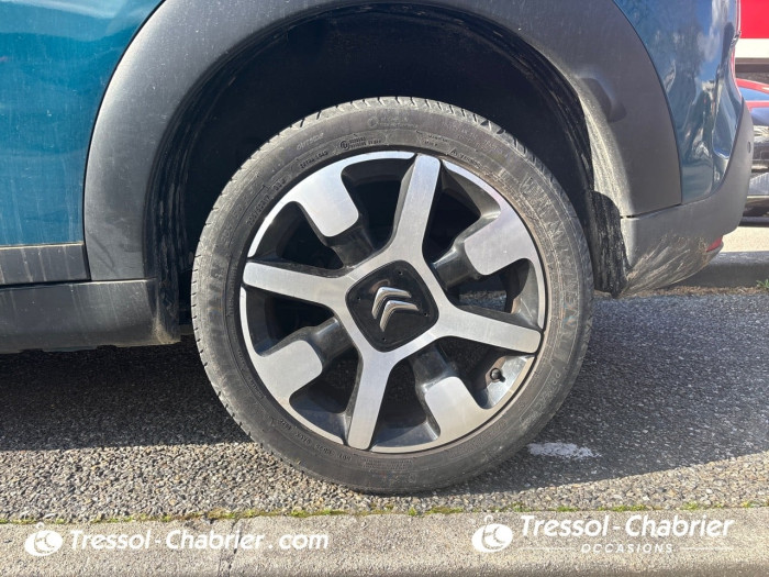 Citroën C4 CACTUS BUSINESS BlueHDi 100 S&S BVM6 Feel Business