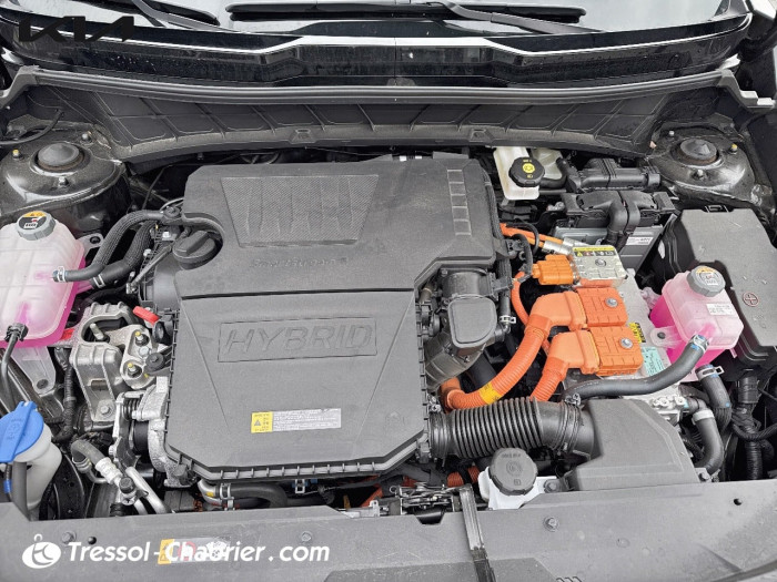 Kia Niro 1.6 GDi 129 ch HEV DCT6 Active Business