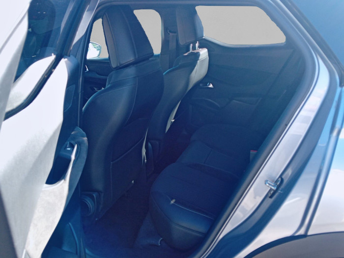 DS DS 3 Crossback DS3 Crossback BlueHDi 100 BVM6 Performance Line