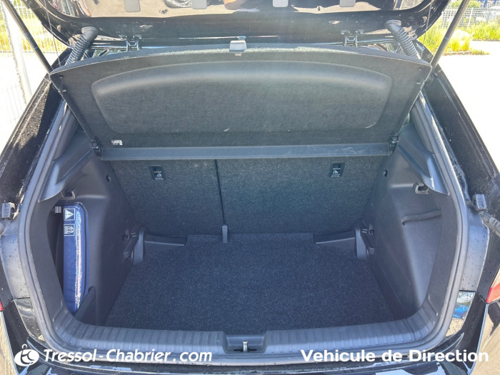 Skoda FABIA Nouveau 1.0 TSI 95 ch EVO 2 BVM5 Monte-Carlo