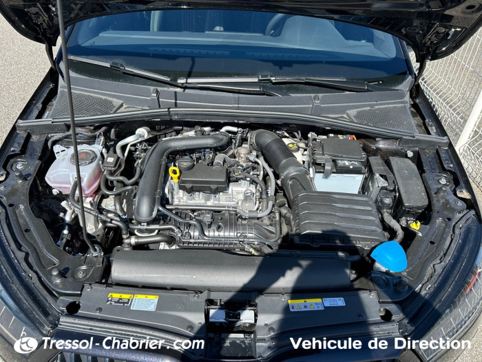 Skoda FABIA Nouveau 1.0 TSI 95 ch EVO 2 BVM5 Monte-Carlo
