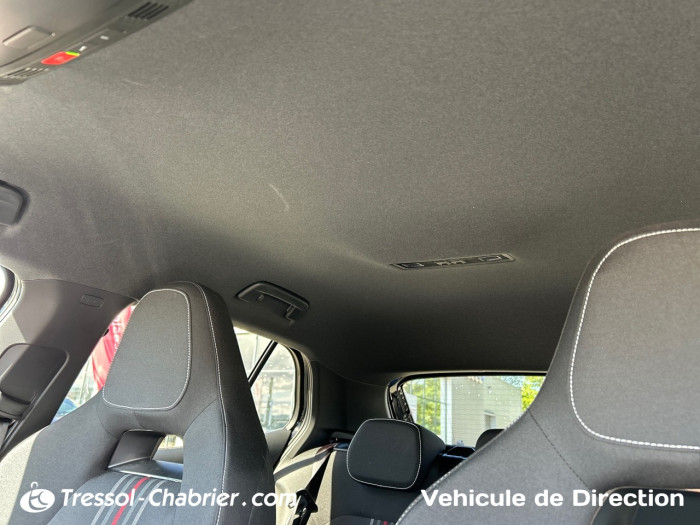Skoda FABIA Nouveau 1.0 TSI 95 ch EVO 2 BVM5 Monte-Carlo