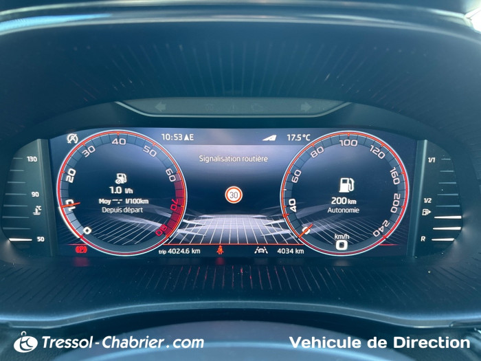 Skoda FABIA Nouveau 1.0 TSI 95 ch EVO 2 BVM5 Monte-Carlo