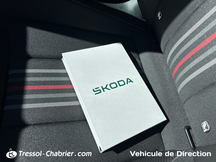 Skoda FABIA Nouveau 1.0 TSI 95 ch EVO 2 BVM5 Monte-Carlo