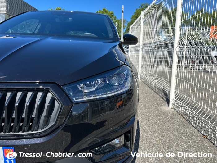 Skoda FABIA Nouveau 1.0 TSI 95 ch EVO 2 BVM5 Monte-Carlo