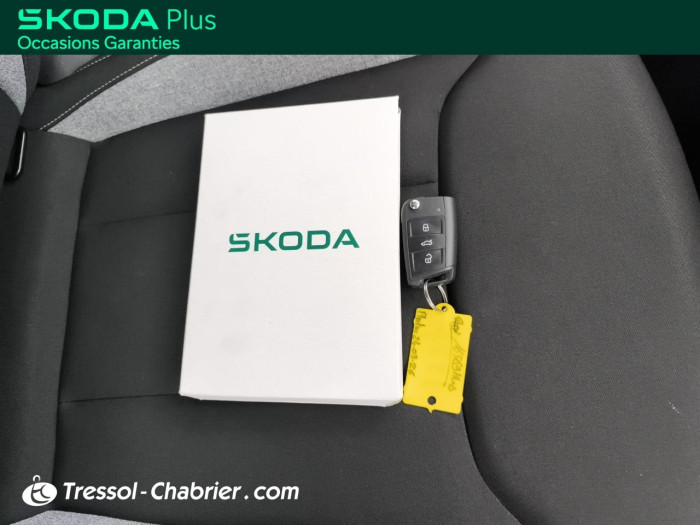 Skoda Scala Nouveau 1.0 TSI Evo 2 116 ch DSG7 Selection