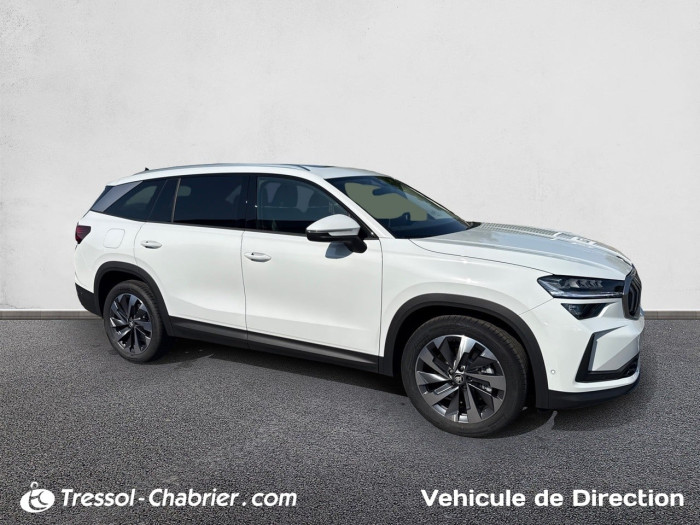 Skoda Kodiaq Nouveau 1.5 TSI 150 ch Hybrid ACT DSG7 7pl Plus Suite Noir
