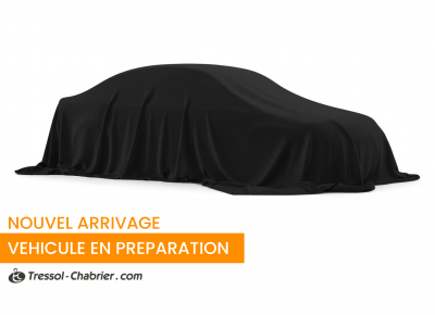 Skoda FABIA Nouveau 1.0 TSI 116 ch EVO 2 DSG7 Selection