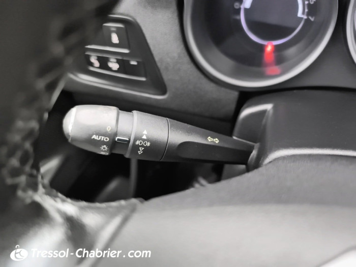 Citroën C4 BlueHDi 120 S&S BVM6 Millenium