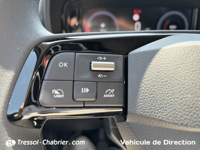 Fiat DOBLO FOURGON M DIESEL 100 CH MANUELLE 25 TH ANNIVERSARY