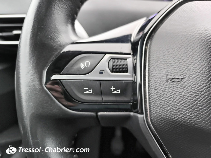 Peugeot 3008 BlueHDi 130ch S&S BVM6 Active Pack