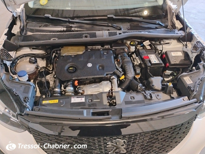 Peugeot 2008 BlueHDi 110 S&S BVM6 Active Pack
