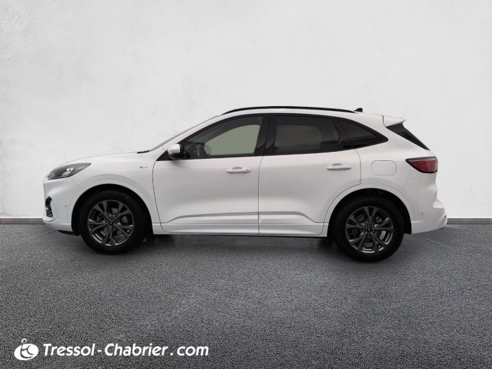 Ford Kuga 2.0 EcoBlue 150 mHEV S&S BVM6 ST-Line