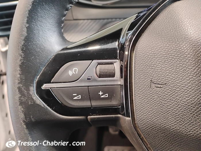 Peugeot 208 Affaire BLUEHDI 100 S&S BVM6 PREMIUM