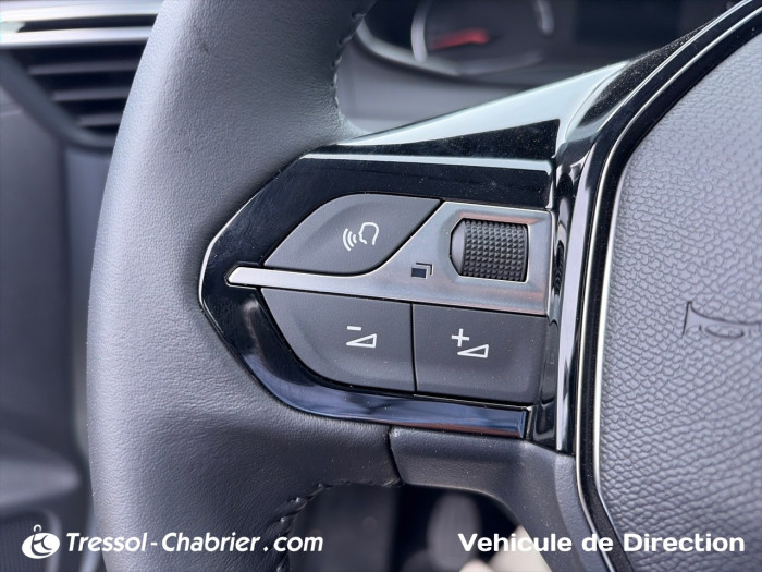 Peugeot 208 PureTech 100 S&S BVM6 Active