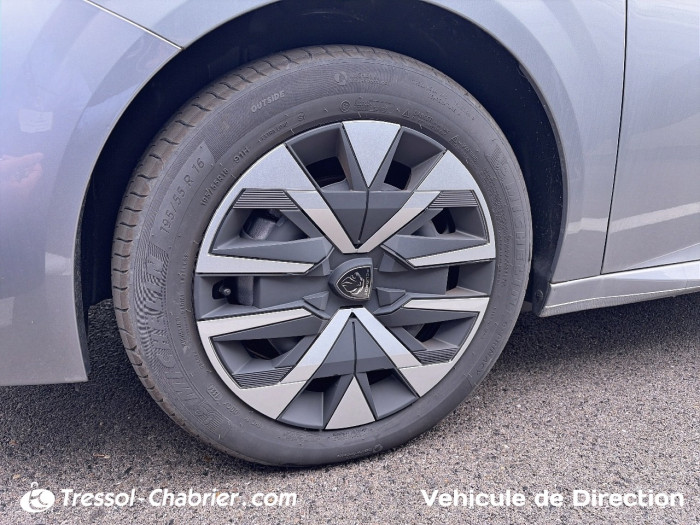 Peugeot 208 PureTech 100 S&S BVM6 Active