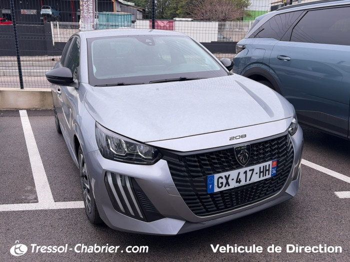Peugeot 208 100 S&S BVM6 AUTO ECOLE