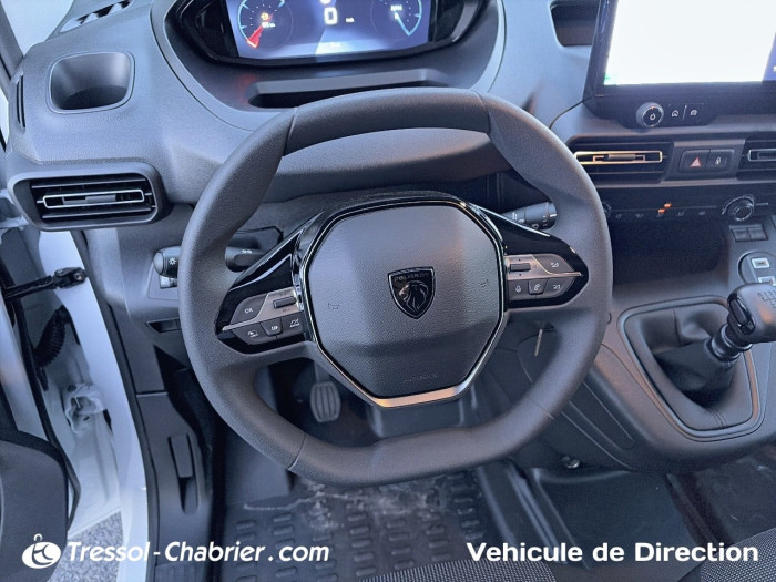 Peugeot PARTNER FOURGON STANDARD 650 KG BLUEHDI 100 BVM5 PRO
