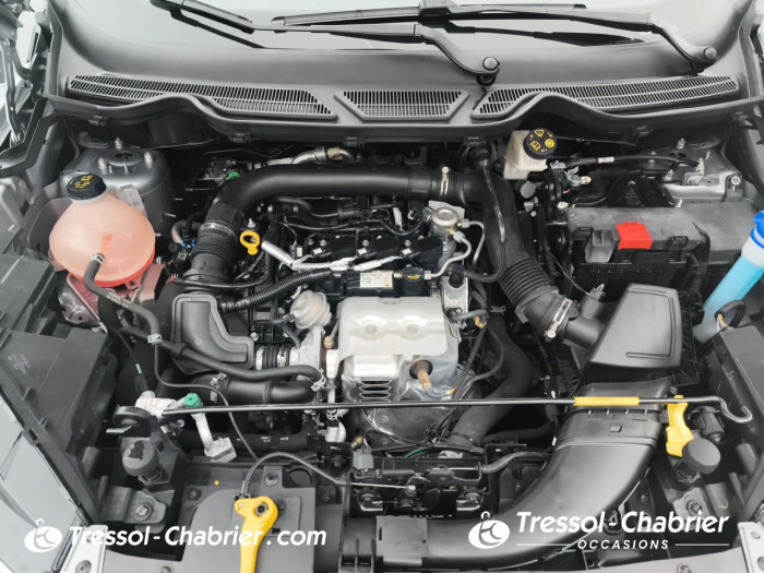 Ford EcoSport 1.0 EcoBoost 125ch S&S BVM6 Titanium
