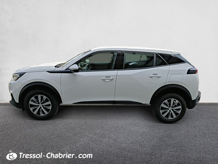 Peugeot 2008 BUSINESS BlueHDi 110 S&S BVM6 Active Business