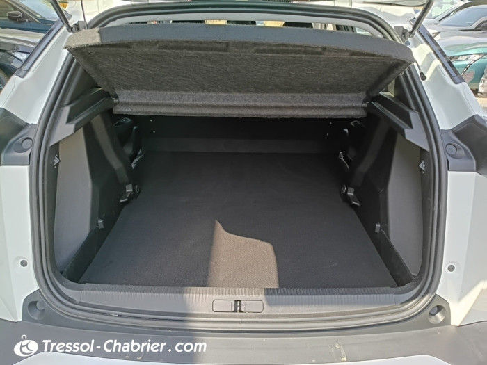 Peugeot 2008 BUSINESS BlueHDi 110 S&S BVM6 Active Business