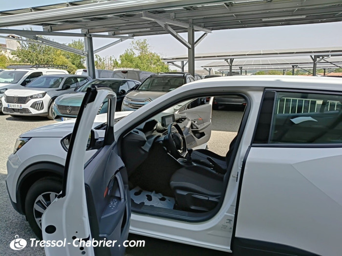 Peugeot 2008 BUSINESS BlueHDi 110 S&S BVM6 Active Business