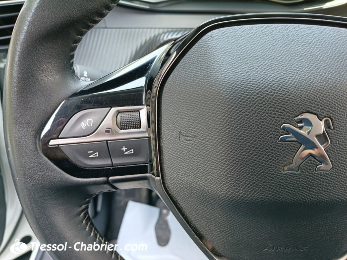 Peugeot 2008 BUSINESS BlueHDi 110 S&S BVM6 Active Business