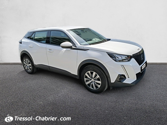 Peugeot 2008 BUSINESS BlueHDi 110 S&S BVM6 Active Business