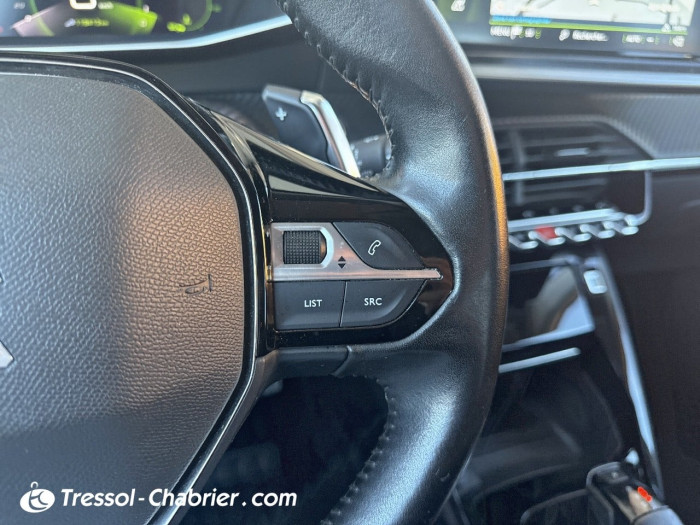 Peugeot 2008 BlueHDi 130 S&S EAT8 Roadtrip