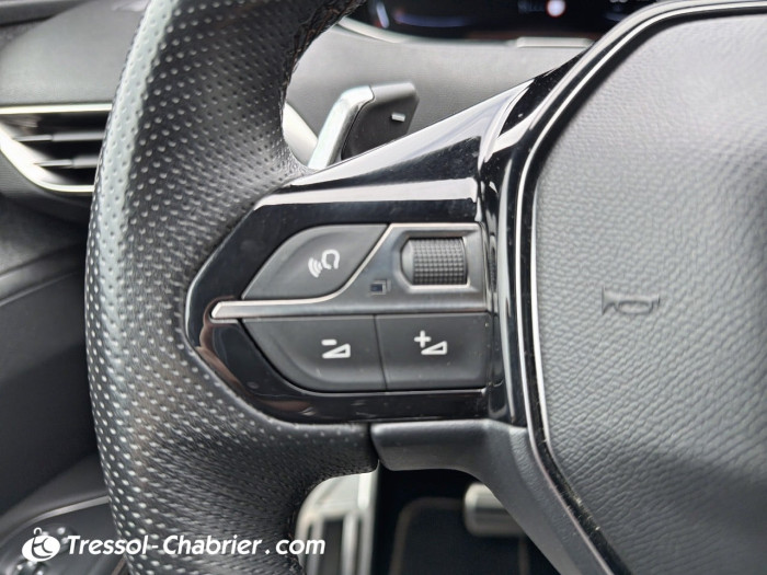 Peugeot 3008 BlueHDi 130ch S&S EAT8 GT Line