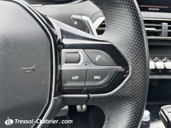 Peugeot 3008 BlueHDi 130ch S&S EAT8 GT Line