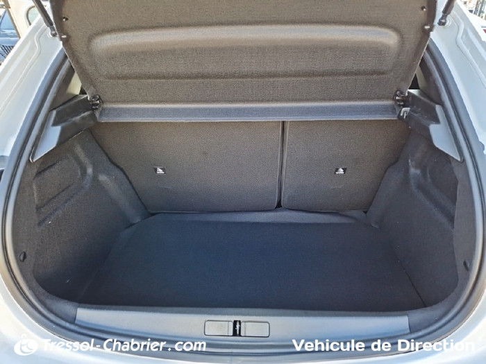 Peugeot 208 Hybrid 110 ch e-DCS6 Style