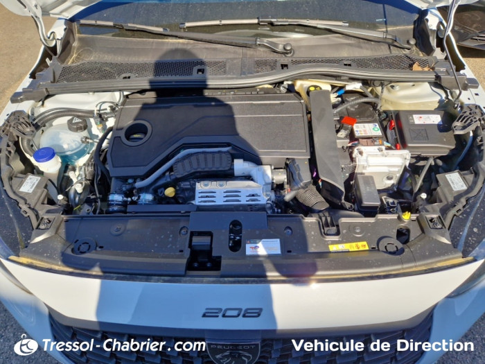 Peugeot 208 Hybrid 110 ch e-DCS6 Style