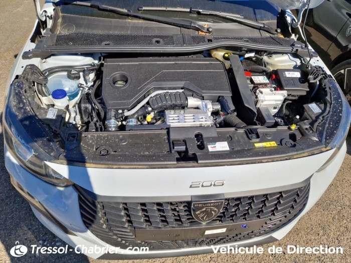Peugeot 208 Hybrid 110 ch e-DCS6 Style