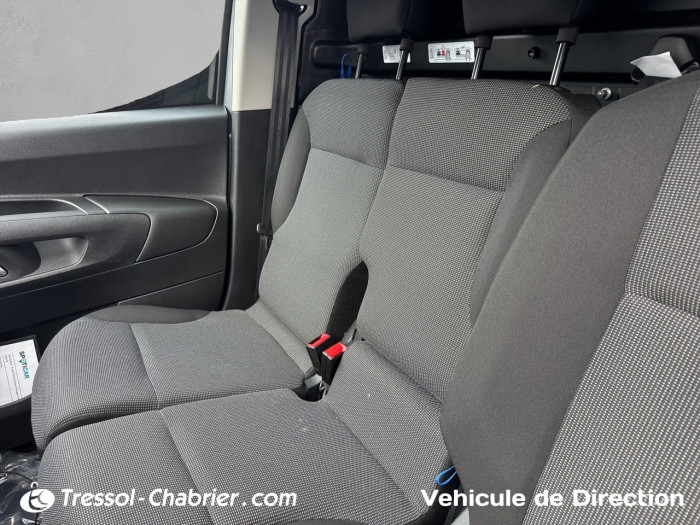 Peugeot PARTNER FOURGON M 1000 KG BLUEHDI 130 S&S BVM6 DANGEL TREK 4X2